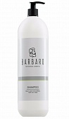 Шампунь для ежедневного ухода за нормальными и жирными волосами "Barbaro" 1000 1030 